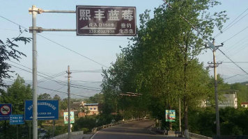 ������ݮ����