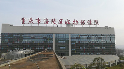 ���ױ���Ժ¥������